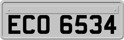 ECO6534