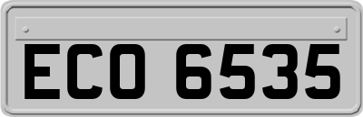 ECO6535