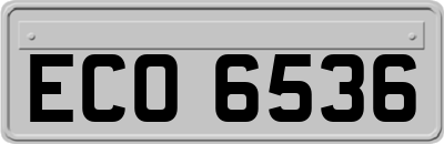 ECO6536