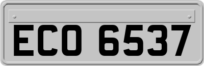 ECO6537