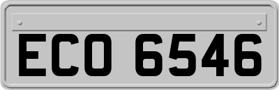 ECO6546