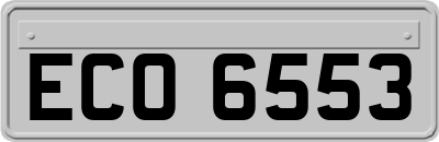 ECO6553