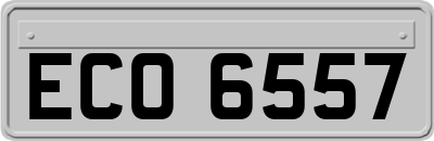 ECO6557