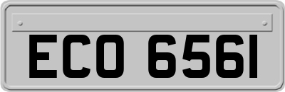 ECO6561