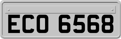 ECO6568