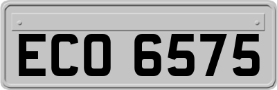 ECO6575