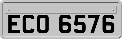ECO6576