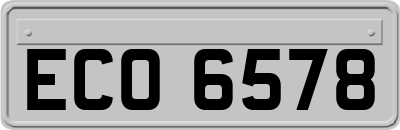 ECO6578