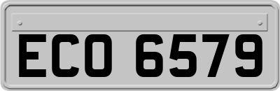 ECO6579