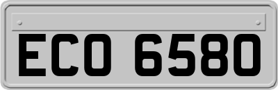 ECO6580