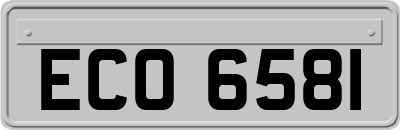 ECO6581