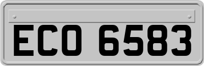 ECO6583