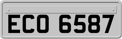 ECO6587