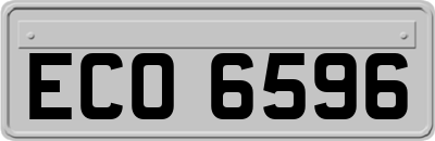 ECO6596