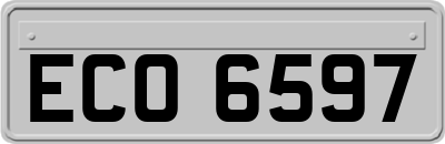 ECO6597