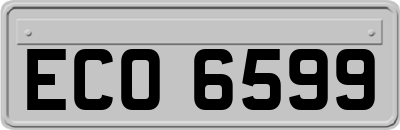 ECO6599