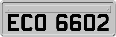 ECO6602