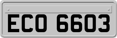 ECO6603