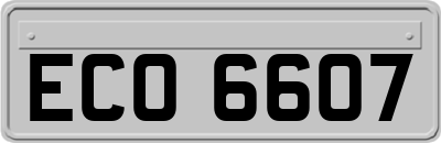 ECO6607