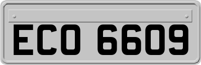 ECO6609