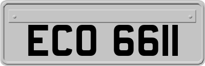 ECO6611