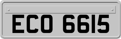 ECO6615
