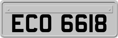 ECO6618