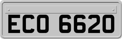 ECO6620
