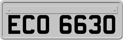 ECO6630
