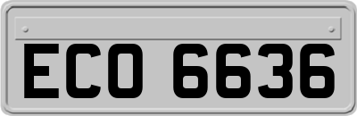 ECO6636