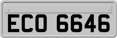 ECO6646