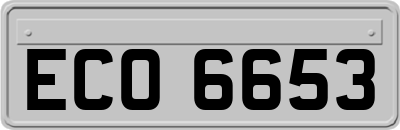 ECO6653