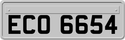 ECO6654