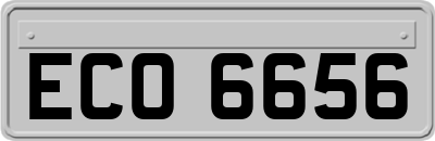 ECO6656