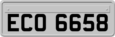 ECO6658