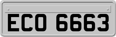 ECO6663