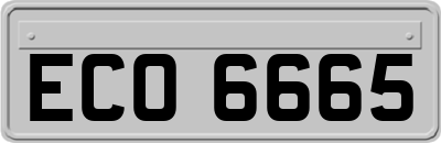 ECO6665