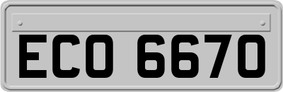 ECO6670