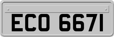 ECO6671