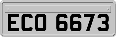 ECO6673