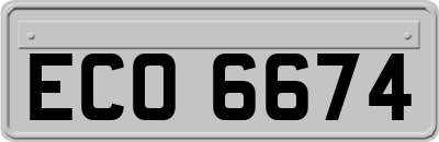 ECO6674