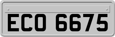 ECO6675