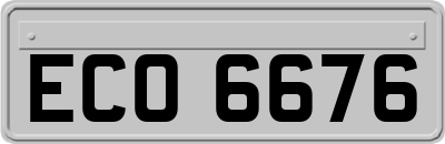 ECO6676