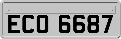 ECO6687