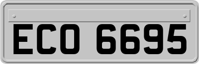 ECO6695