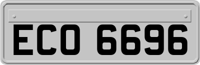 ECO6696