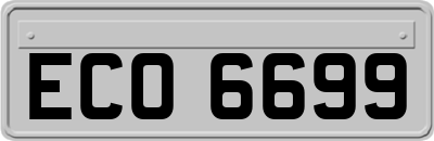 ECO6699