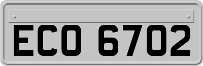 ECO6702