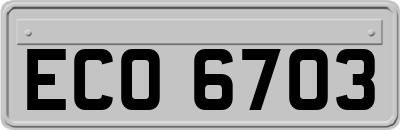 ECO6703