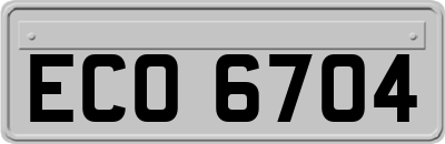 ECO6704